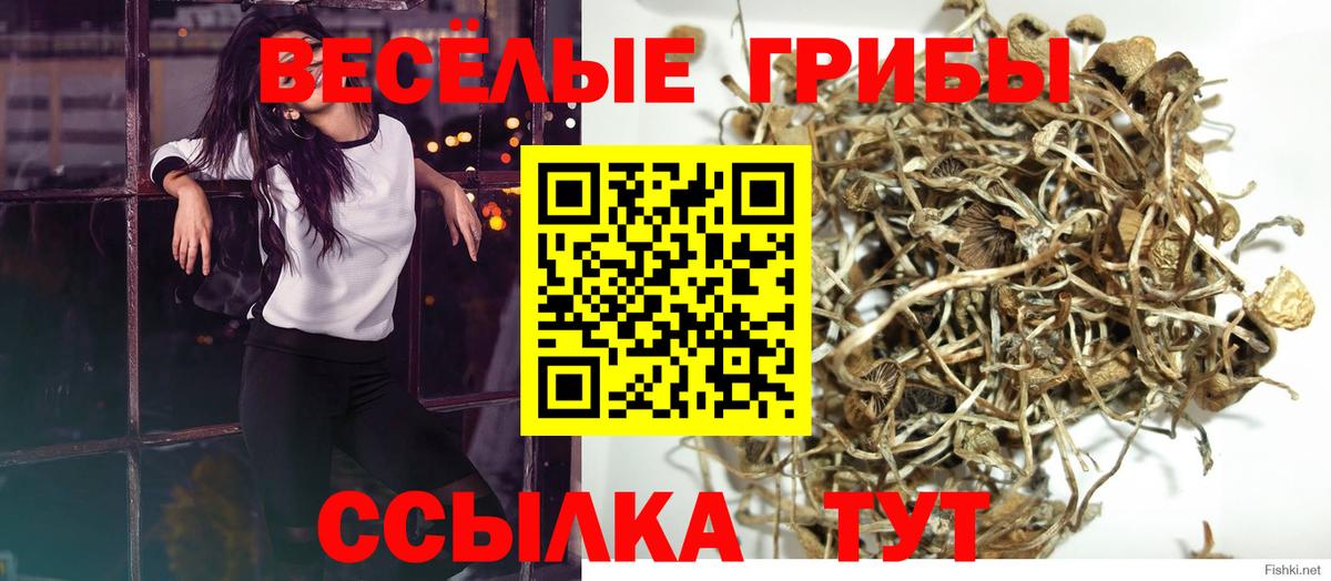 Коломна  Галлюциногенные грибы GOLDEN TEACHER  Вход с VPN 